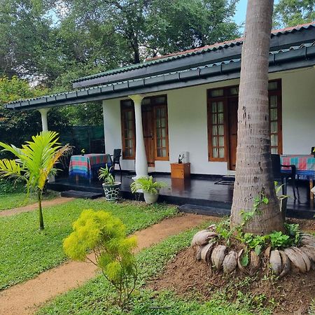 Sigiri Shen Residence Sigiriya Exterior photo