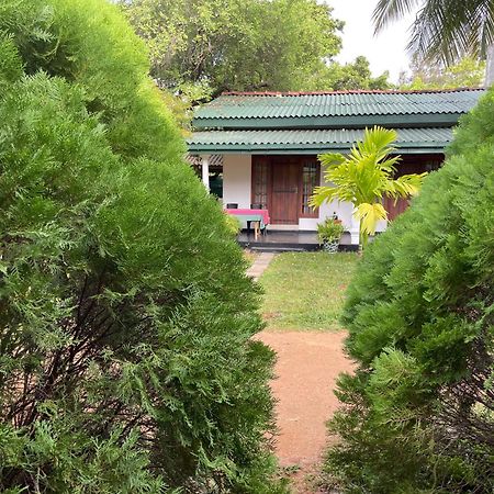 Sigiri Shen Residence Sigiriya Exterior photo