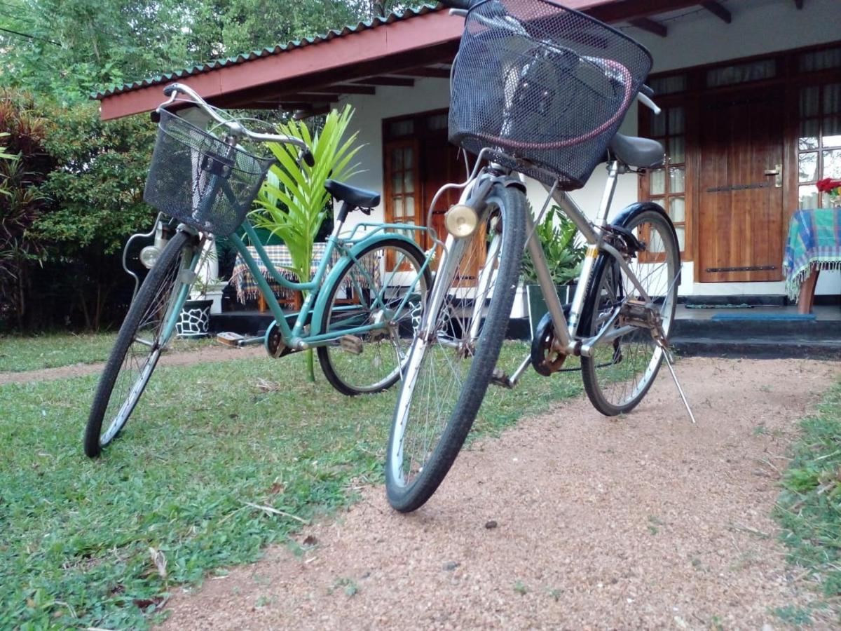 Sigiri Shen Residence Sigiriya Exterior photo