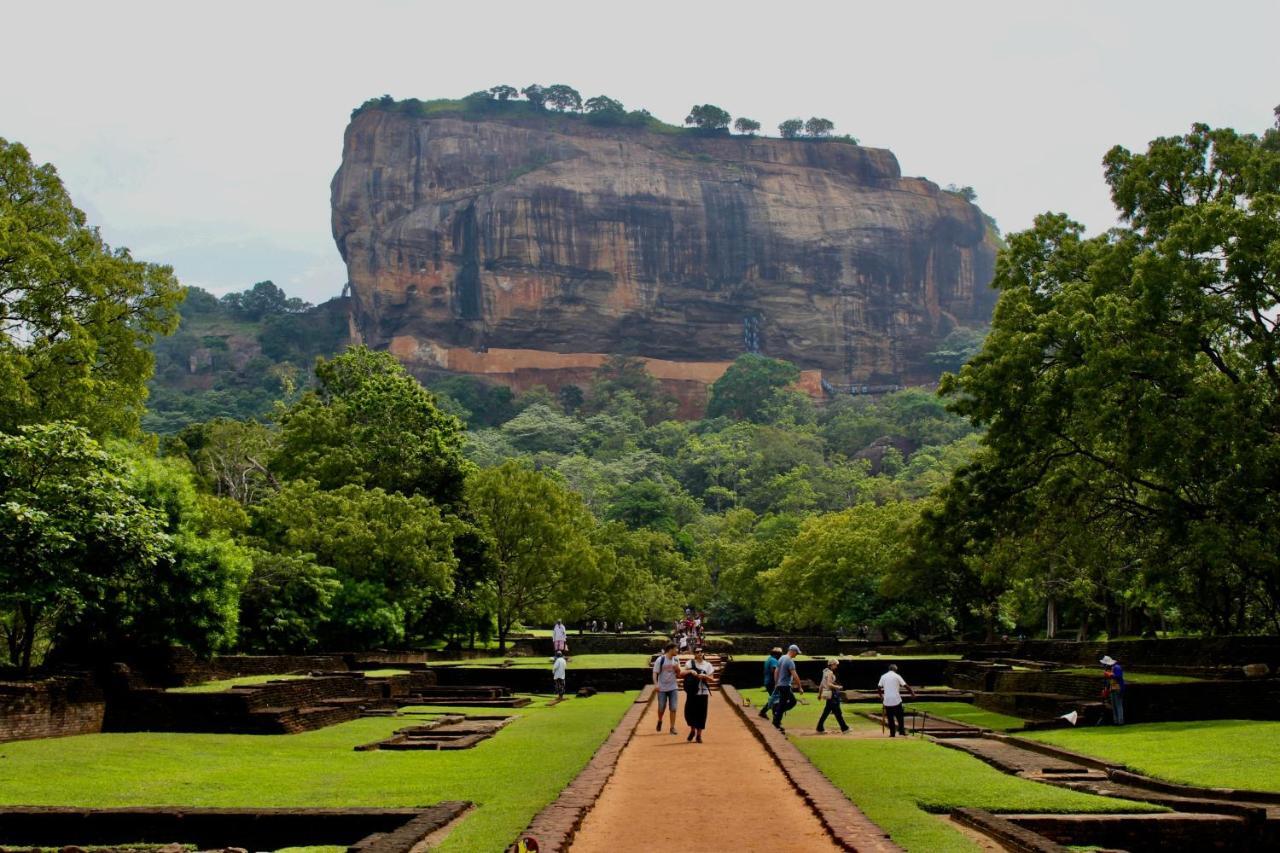 Sigiri Shen Residence Sigiriya Exterior photo