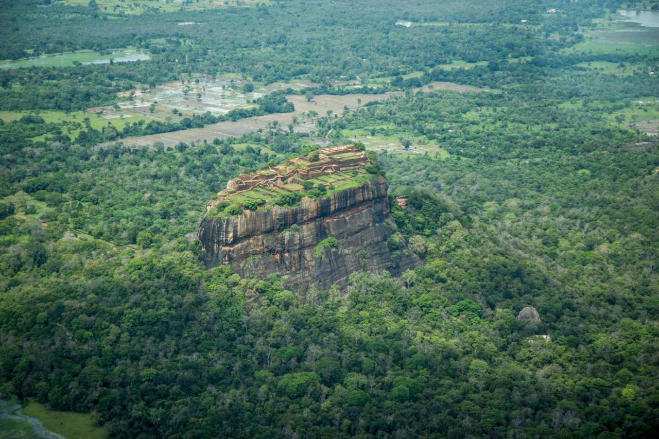 Sigiri Shen Residence Sigiriya Exterior photo