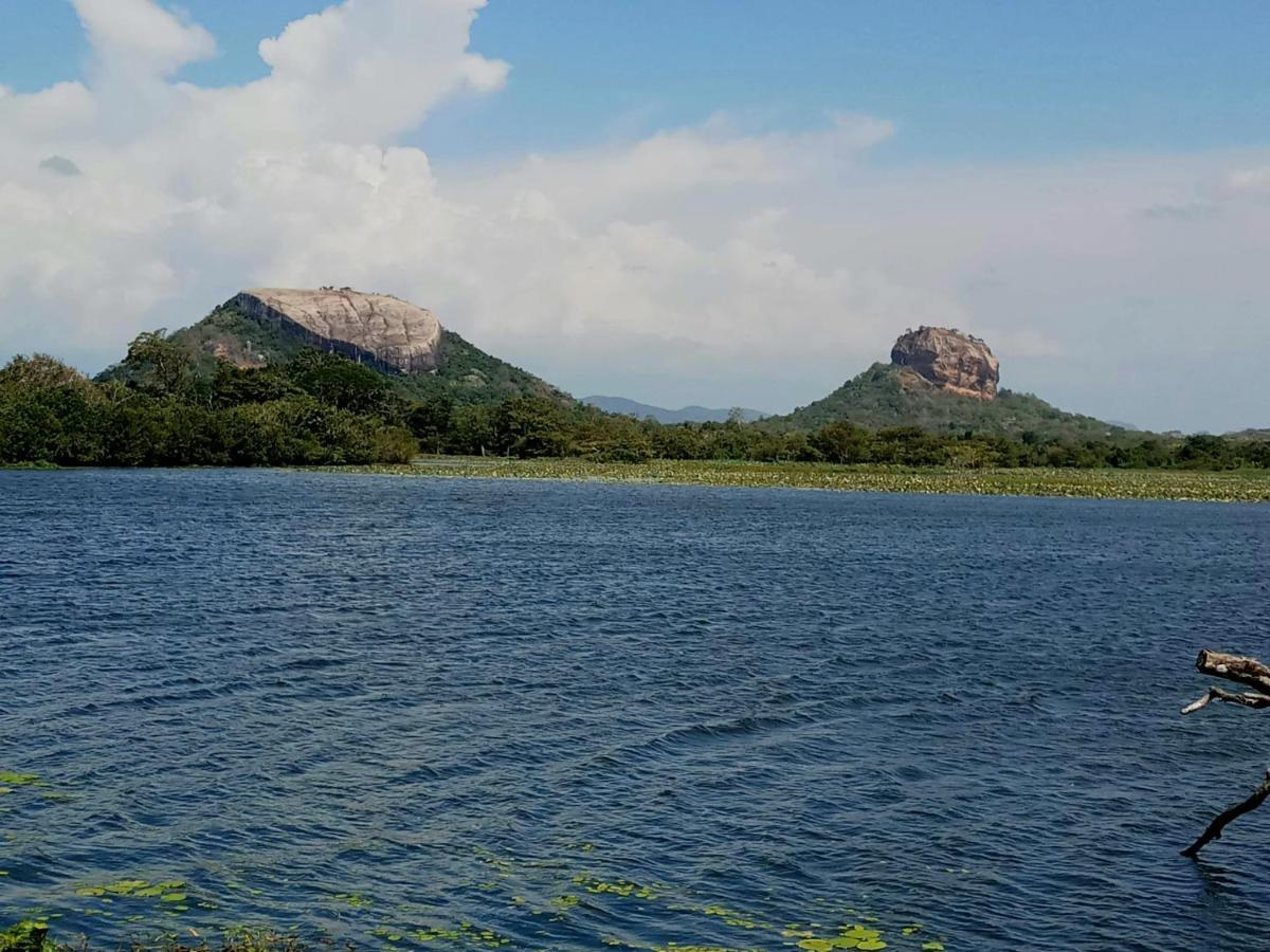 Sigiri Shen Residence Sigiriya Exterior photo