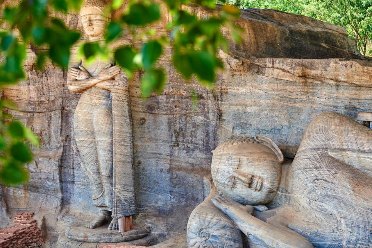 Sigiri Shen Residence Sigiriya Exterior photo